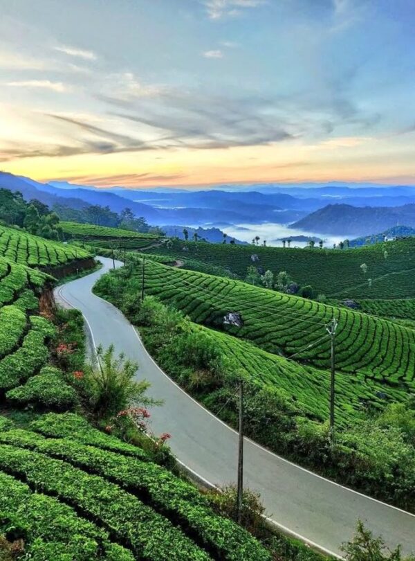 MUNNAR