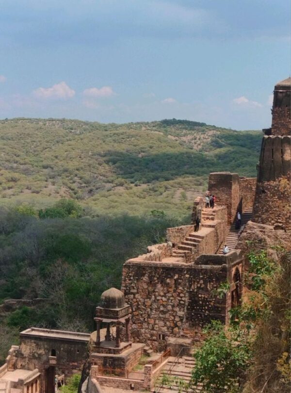 RANTHAMBORE