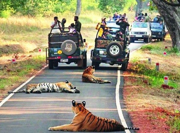 TADOBA NATIONAL PARK